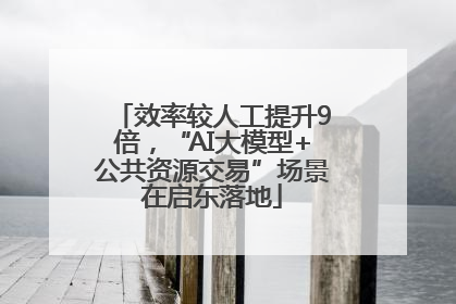 效率较人工提升9倍，“AI大模型+公共资源交易”场景在启东落地