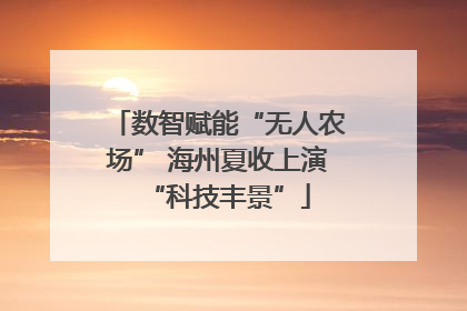 数智赋能“无人农场” 海州夏收上演“科技丰景”