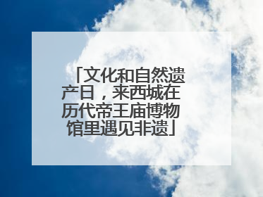 文化和自然遗产日，来西城在历代帝王庙博物馆里遇见非遗