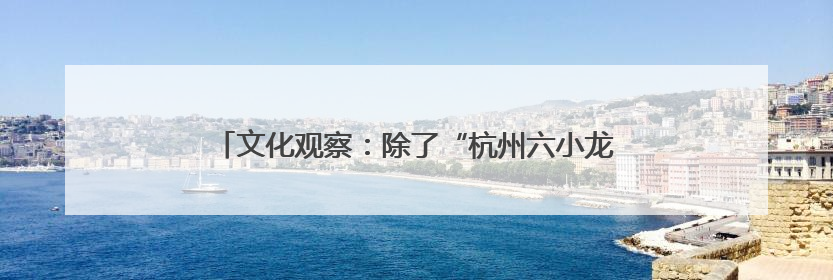 文化观察：除了“杭州六小龙” 浙江数字文化还有什么？