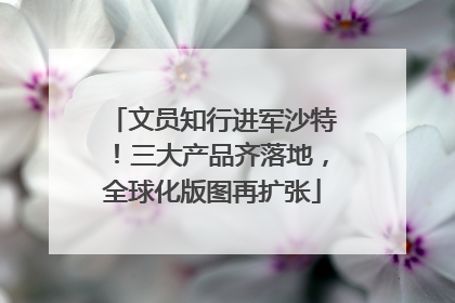 文员知行进军沙特！三大产品齐落地，全球化版图再扩张