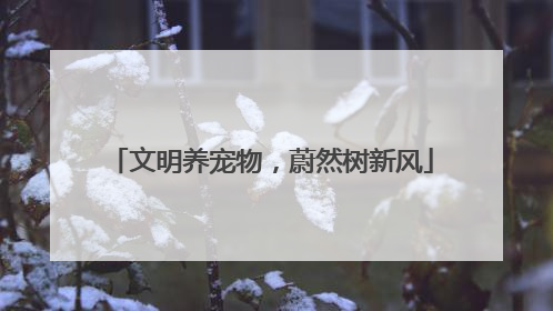 文明养宠物，蔚然树新风