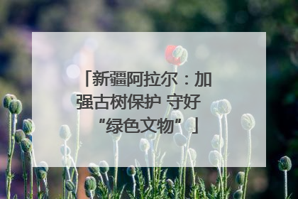 新疆阿拉尔：加强古树保护 守好“绿色文物”