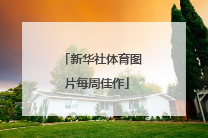 新华社体育图片每周佳作