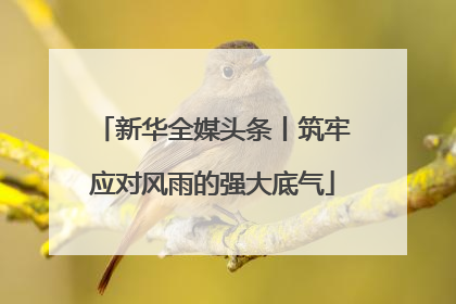 新华全媒头条丨筑牢应对风雨的强大底气