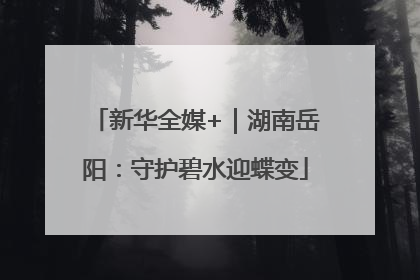 新华全媒+｜湖南岳阳：守护碧水迎蝶变