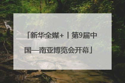 新华全媒+丨第9届中国—南亚博览会开幕