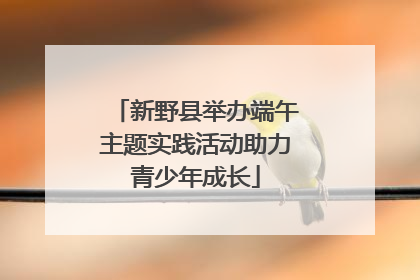 新野县举办端午主题实践活动助力青少年成长