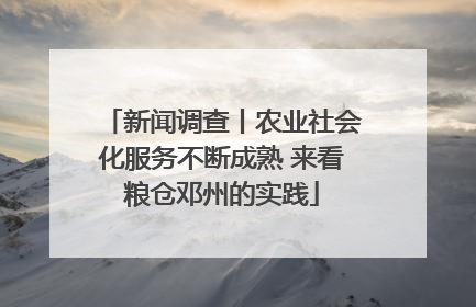 新闻调查丨农业社会化服务不断成熟 来看粮仓邓州的实践