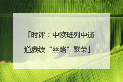 时评：中欧班列中通道赓续“丝路”繁荣