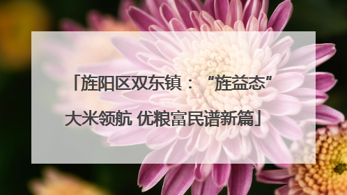 旌阳区双东镇：“旌益态”大米领航 优粮富民谱新篇