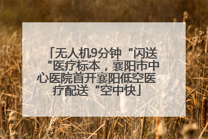 无人机9分钟“闪送“医疗标本，襄阳市中心医院首开襄阳低空医疗配送“空中快