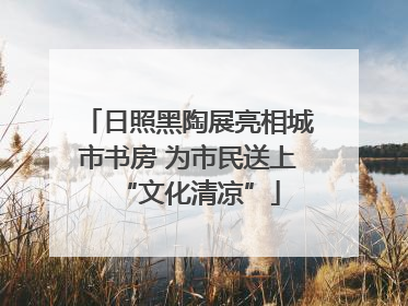 日照黑陶展亮相城市书房 为市民送上“文化清凉”