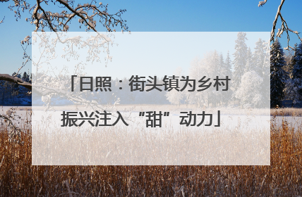 日照：街头镇为乡村振兴注入“甜”动力