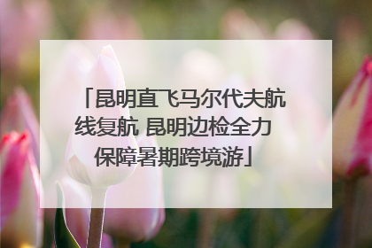 昆明直飞马尔代夫航线复航 昆明边检全力保障暑期跨境游