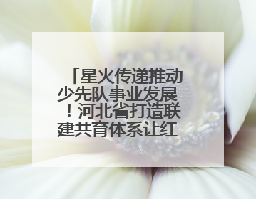 星火传递推动少先队事业发展！河北省打造联建共育体系让红领巾更鲜艳