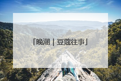 晚潮｜豆蔻往事