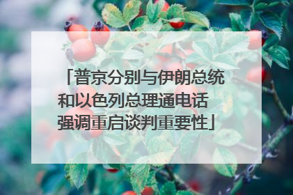 普京分别与伊朗总统和以色列总理通电话 强调重启谈判重要性