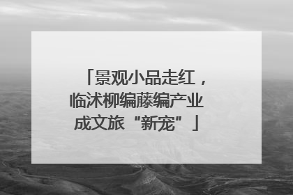 景观小品走红，临沭柳编藤编产业成文旅“新宠”