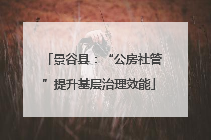 景谷县：“公房社管”提升基层治理效能