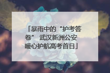 暴雨中的“护考答卷” 武汉新洲公安暖心护航高考首日