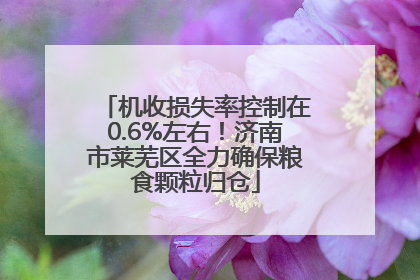 机收损失率控制在0.6%左右！济南市莱芜区全力确保粮食颗粒归仓