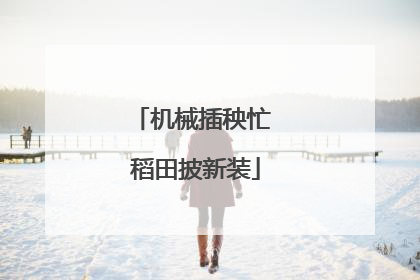 机械插秧忙 稻田披新装