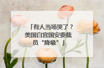 有人当场哭了？美国白宫国安委裁员“降级”