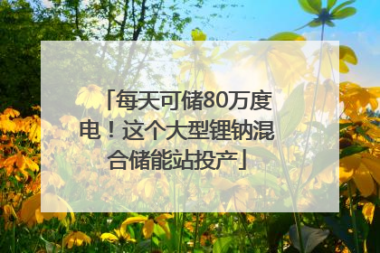 每天可储80万度电！这个大型锂钠混合储能站投产