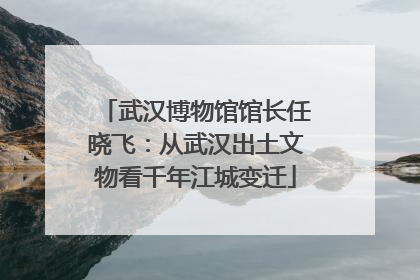 武汉博物馆馆长任晓飞：从武汉出土文物看千年江城变迁