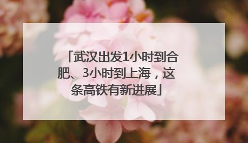 武汉出发1小时到合肥、3小时到上海，这条高铁有新进展