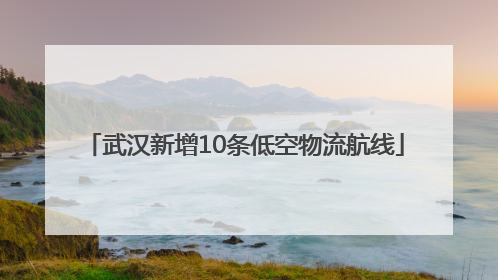 武汉新增10条低空物流航线