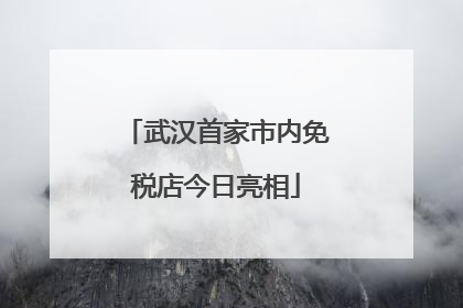 武汉首家市内免税店今日亮相