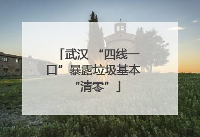 武汉 “四线一口”暴露垃圾基本 “清零”