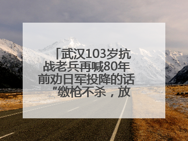 武汉103岁抗战老兵再喊80年前劝日军投降的话 “缴枪不杀，放你回家”
