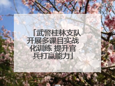 武警桂林支队开展多课目实战化训练 提升官兵打赢能力