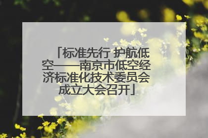 标准先行 护航低空——南京市低空经济标准化技术委员会成立大会召开