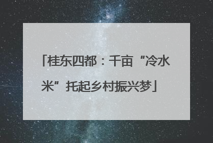 桂东四都：千亩“冷水米”托起乡村振兴梦