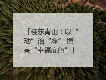 桂东青山：以“动”治“净” 擦亮“幸福底色”