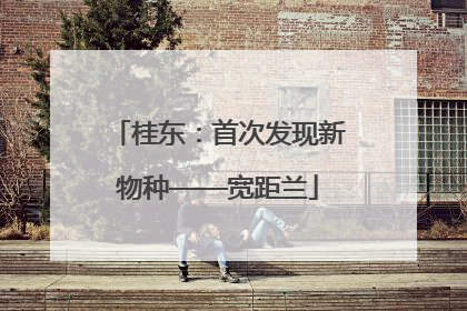 桂东：首次发现新物种——宽距兰
