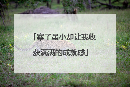 案子虽小却让我收获满满的成就感