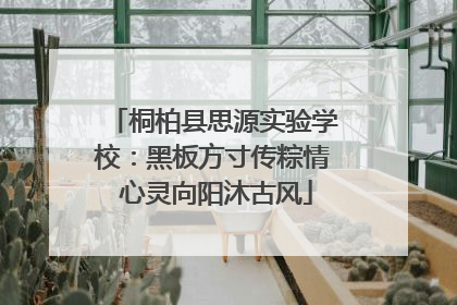 桐柏县思源实验学校：黑板方寸传粽情 心灵向阳沐古风