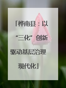 桦南县：以“三化”创新驱动基层治理现代化