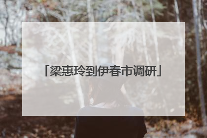 梁惠玲到伊春市调研