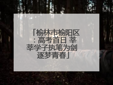 榆林市榆阳区：高考首日 莘莘学子执笔为剑 逐梦青春