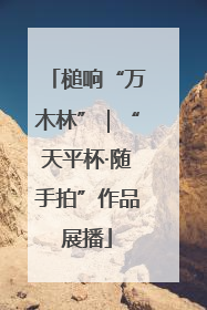 槌响“万木林”｜“天平杯·随手拍”作品展播