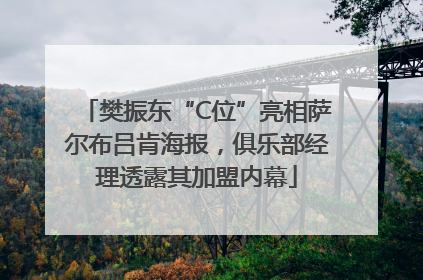 樊振东“C位”亮相萨尔布吕肯海报，俱乐部经理透露其加盟内幕