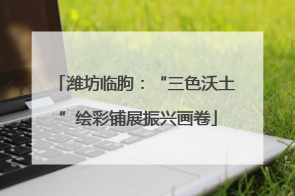 潍坊临朐：“三色沃土”绘彩铺展振兴画卷