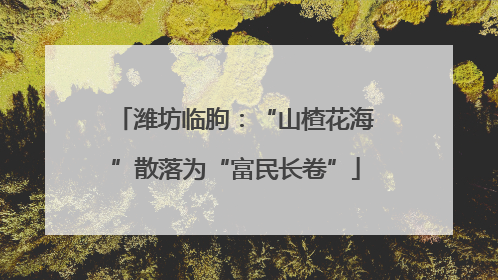 潍坊临朐：“山楂花海”散落为“富民长卷”
