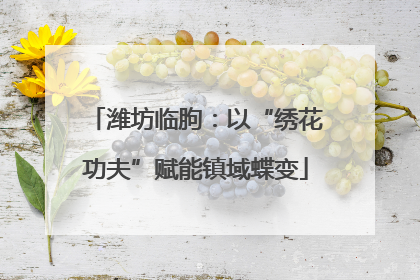 潍坊临朐：以“绣花功夫”赋能镇域蝶变
